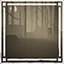 In a Dark Wood
