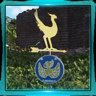 I Brake for Chocobos