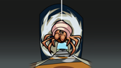 Tunnel-web spider