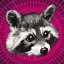 Raccoon poloskun