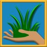 Touched Some Grass