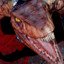 Riptor Master