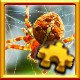 Spider Complete!