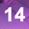 14 level completed