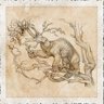 Climbing-Burrowing-Foraging