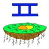 Ying World Trophy: Ying Cave Island 2