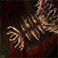 Research:  Feran Zoa