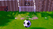 Professional Footballer.
