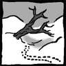 Sheltered by the fallen tree
