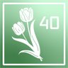Tulip enthusiast