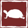 Achilles and the Tortoise