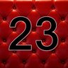 23 level completed