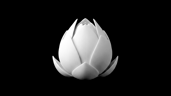 Viriya