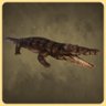 Crocodile
