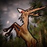 Deer