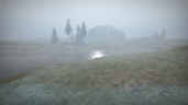 The Bog