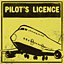 Pilot's License