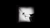 Follow your blade