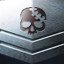 Silver Veteran
