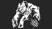 Brute Force