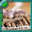 Archean