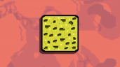 Magic Sponge