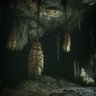 The Caves