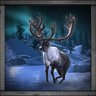 Caribou Hunter