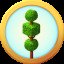Decorative Buxus