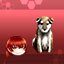 The dog's identity