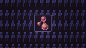 Experimentalist