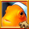 Clownfish
