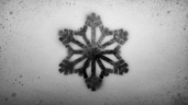 Diary: Effing Snow
