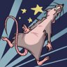 Flying Rats