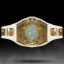 Birth of an IC Champion