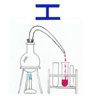 I1 Trophy: Botany Lab Caves 1