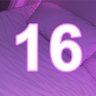 16 level completed