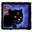 Hire a Black cat