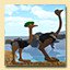 Ostrich Supremacy