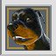 Not a Dog Person - Bronze