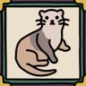 The ferret