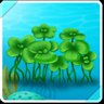 Oceanclover Luck