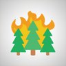 Forest Fire