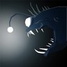 Didn't Follow The Light