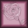 Pink Rose