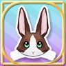 Rabbit Fan Wonder