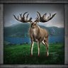 Irish Elk Hunter