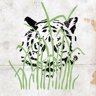 Jungle Tiger