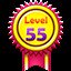 Level 55 solved !