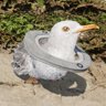 Seabird Rescuer